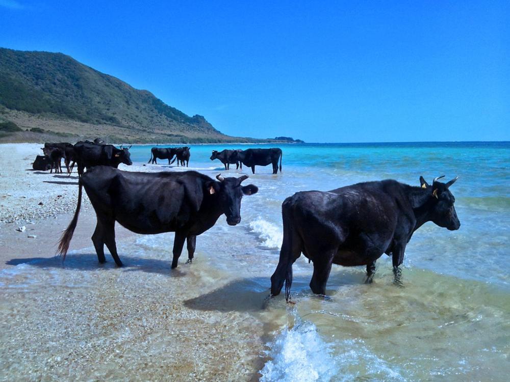 435 Hotel Ishigaki  Luaran gambar